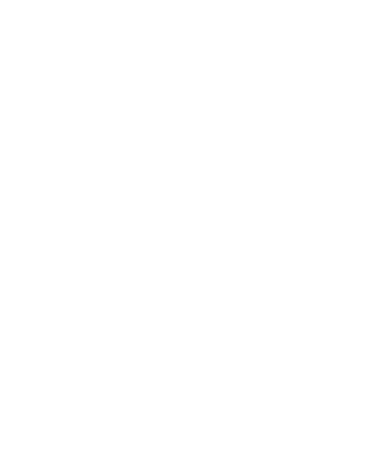 Surtio